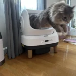 Best automatic litter box I’ve owned so far!