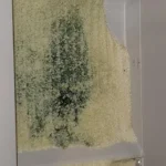 Not compatible with Crystal/Silica (pretty) Litter