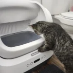 A Game-Changer for Cat Owners!