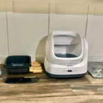 The picky cat’s dream box