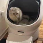 Good for monitoring urinary habits