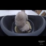 Added This to My Multi-Cat Home and So Far It’s Been a Great Experience😍