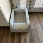 A real person with a real review if you are deciding