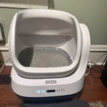 Best Litter Box Ever