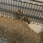 Love not having to scoop anymore