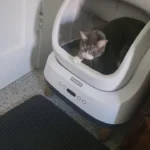 Great device, highly recommended!