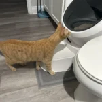 Worth the price trust me.