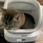 Quiet auto litter box with smart notifications