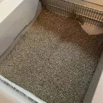 Love not having to scoop anymore