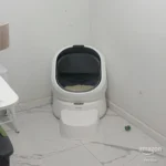 Added This to My Multi-Cat Home and So Far It’s Been a Great Experience😍