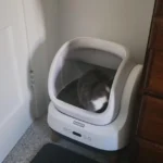 Great device, highly recommended!